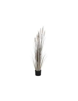 Planta Decorativa DKD Home Decor Juncos (35 x 35 x 120 cm)