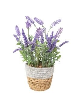 Planta Decorativa Romimex Plástico Fibra Lavanda 15 x 38 x 15 cm