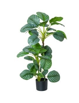 Planta Decorativa Alexandra House Living Plástico Calathea 90 cm