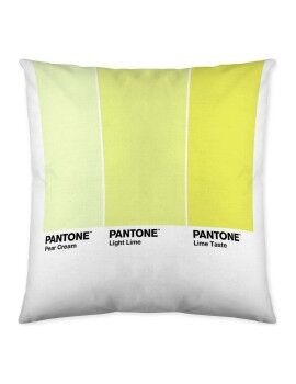 Funda de cojín Ombre C Pantone Localization_B086JQZYZH Reversible 50 x 50 cm