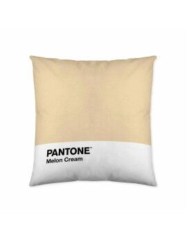 Capa de travesseiro Melon Cream Pantone 63836415 50 x 50 cm