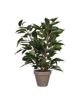 Planta Decorativa Mica Decorations 40 x 30 cm Cerámica Verde PVC Ficus