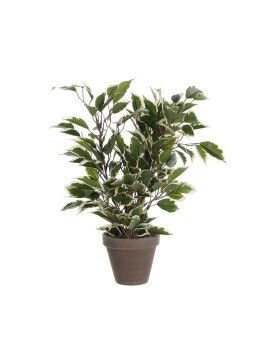 Planta Decorativa Mica Decorations 4 x 11,5 cm Cerámica PVC Ficus