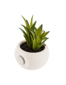 Planta Decorativa Atmosphera Íman Verde PVC