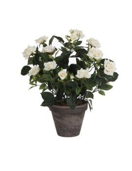 Planta Decorativa Mica Decorations Rosal Cerámica PVC