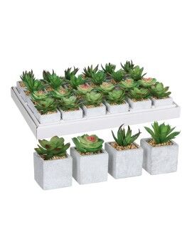 Planta Decorativa Mica Decorations 8 x 5 cm Verde PVC Suculenta