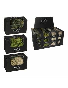 Planta Decorativa Mica Decorations 50 g Musgo