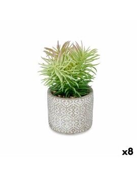 Planta Decorativa Suculenta Madeira Plástico 12 x 22 x 12 cm (8 Unidades)