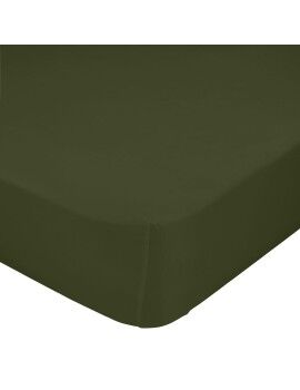 Lençol de baixo ajustável HappyFriday Basic Verde-escuro 200 x 200 x 32 cm