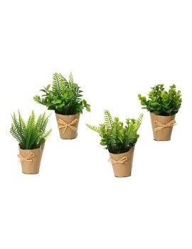 Planta Decorativa EDM 18 cm