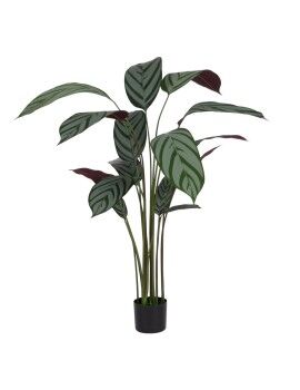 Planta Decorativa PVC Cemento Tejido 40 x 40 x 150 cm