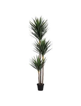 Planta Decorativa Polietileno Hierro Cemento Yuca 30 x 30 x 250 cm