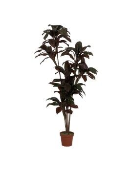 Planta Decorativa Polietileno Ferro Cimento 45 x 45 x 170 cm