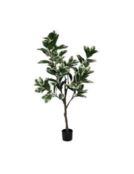 Planta Decorativa Borracha 70 x 70 x 150 cm