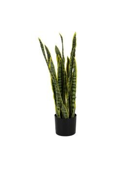 Planta Decorativa Borracha Polipropileno 20 x 20 x 80 cm