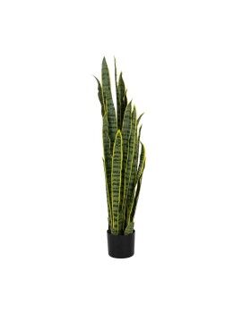 Planta Decorativa Borracha Polipropileno 20 X 20 X 115 CM