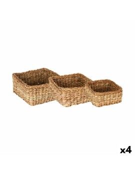 Juego de Cestas Privilege Privilege Mimbre 23 x 11 cm (3 Piezas) (4 Unidades)