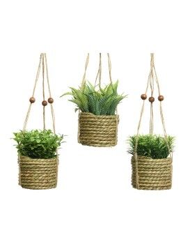 Planta Decorativa Everlands 8 x 12 cm Colar Corda Verde PVC