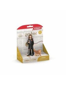 Conjunto de Figuras Harry Potter Hermione & Crookshanks