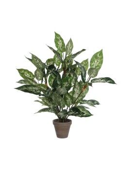 Planta Decorativa Mica Decorations Dieffenbachia Dieffenbachia Verde PVC (15,7 x 70 cm)