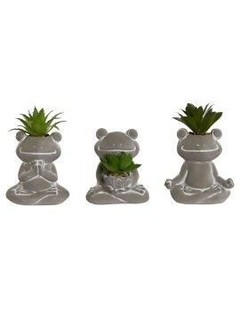 Planta Decorativa Home ESPRIT Polietileno Cemento Rana 7,5 x 5 x 11 cm (3 Unidades)