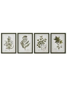 Pintura Home ESPRIT Verde Bege Shabby Chic Plantas botânicas 30 x 2,5 x 40 cm (4 Unidades)