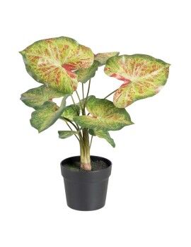 Planta Decorativa 48 x 46 x 55 cm Vermelho Verde PVC