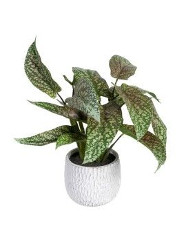 Planta Decorativa Verde PVC 52 x 44 x 44 cm