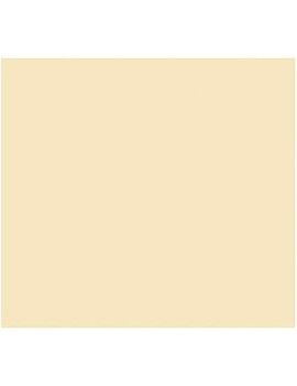 Cartulina Iris Beige 50 x 65 cm