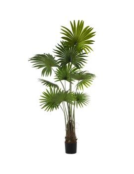 Planta Decorativa Alexandra House Living Plástico Palmera 180 cm