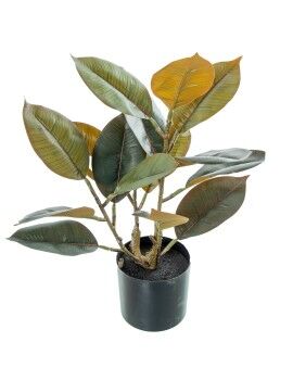 Planta Decorativa Alexandra House Living Plástico Eik 50 cm