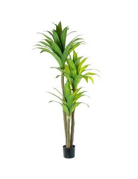 Planta Decorativa Alexandra House Living Plástico Dracaena 180 cm