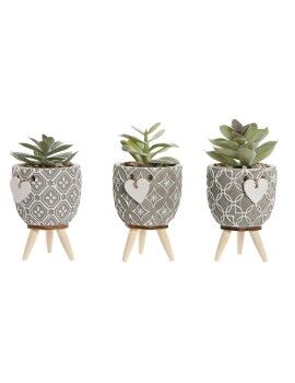 Planta Decorativa Home ESPRIT Polietileno Cimento 9,5 x 9,5 x 12 cm (3 Unidades)