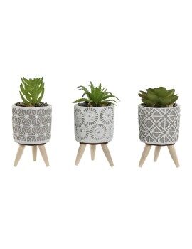 Planta Decorativa Home ESPRIT Polietileno Cemento 6,5 x 6,5 x 11 cm (3 Unidades)