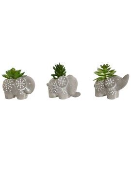 Planta Decorativa Home ESPRIT Polietileno Cemento 8 x 5 x 7 cm (3 Unidades)