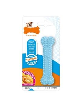 Mordedor de perro Nylabone Azul Pollo Blue Termoplástico Talla XS Cachorros