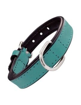 Collar para Perro Gloria Acolchado Turquoise 55 cm (55 x 2,5 cm)