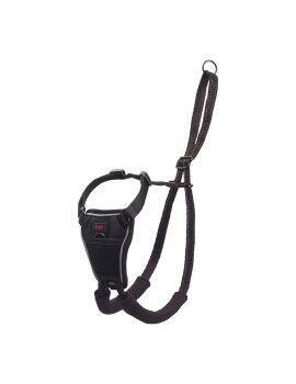 Arnês para Cães Company of Animals Halti Tamanho S (26-36 cm)