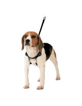 Arnês para Cães Gloria 40-60 cm Tamanho L