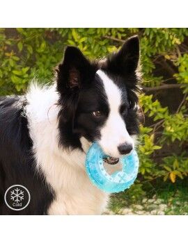 Brinquedo Mordedor Congelável para Animais de Estimação 2 em 1 Glubiz InnovaGoods