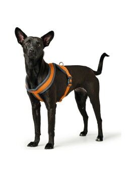 Arnês para Cães Hunter London Comfort 39-47 cm Laranja XS/S