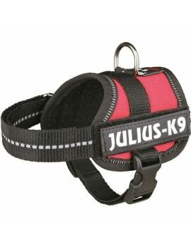 Arnês para Cães Julius K9 Power Vermelho 1 Baby 1 (XS)